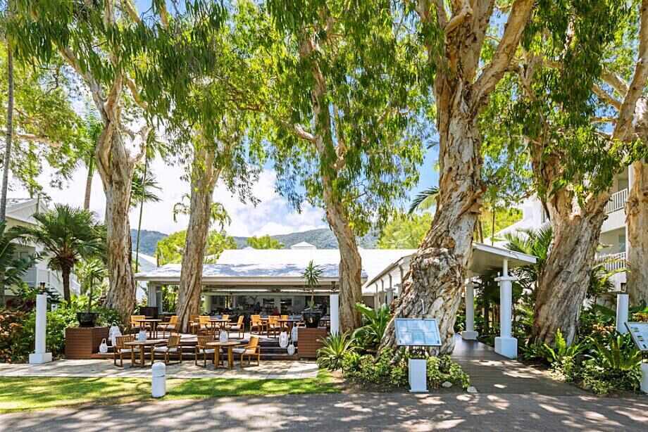 Ten of the best things to do in Palm Cove