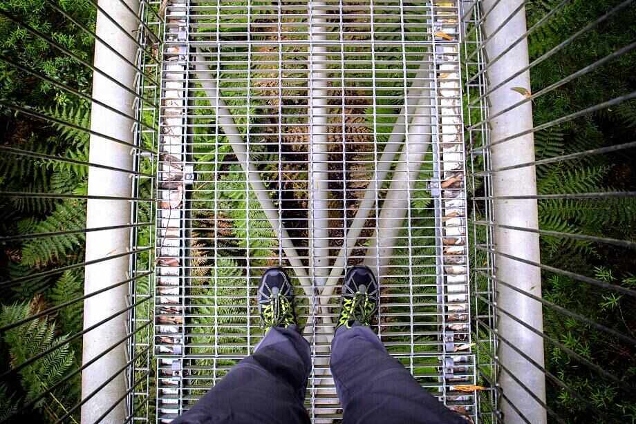 Top things to do in Great Otway National Park