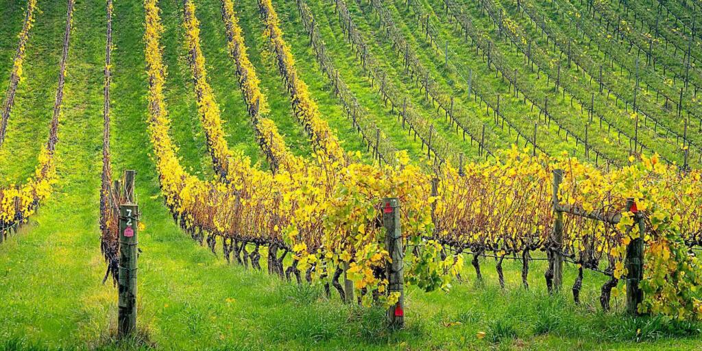 Ten of the best things to do in the Adelaide Hills