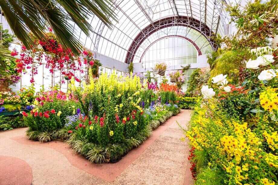 Top things to do in Auckland