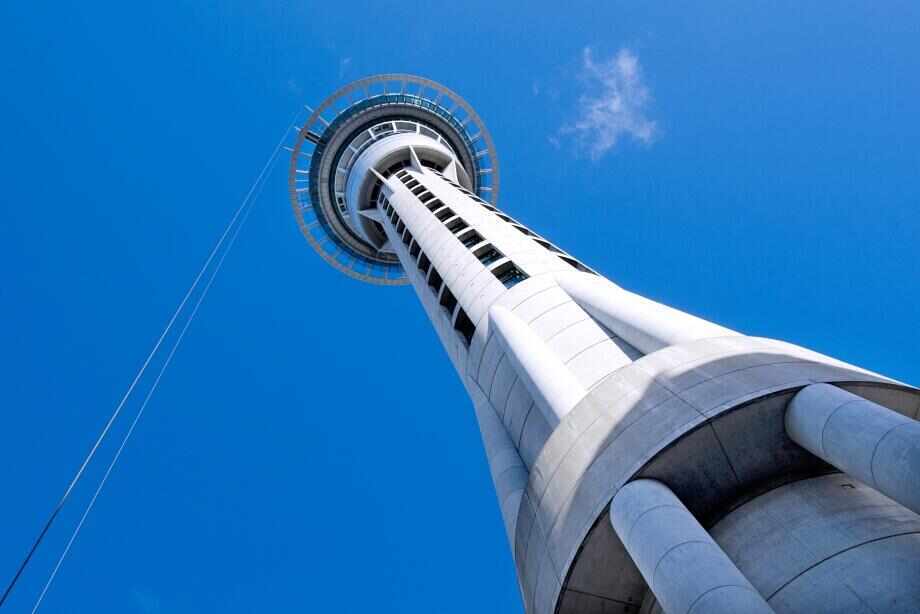 Top things to do in Auckland