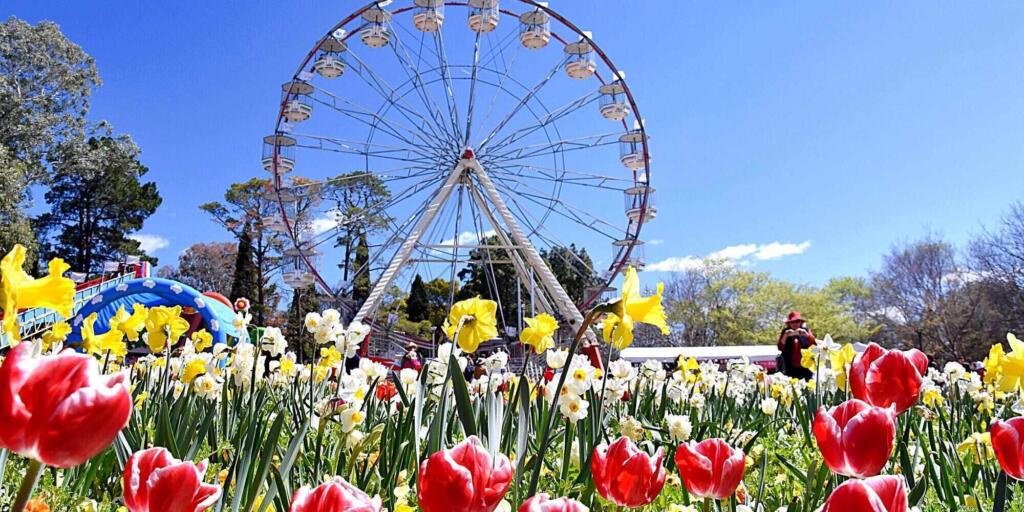 Canberra Tours & Experiences