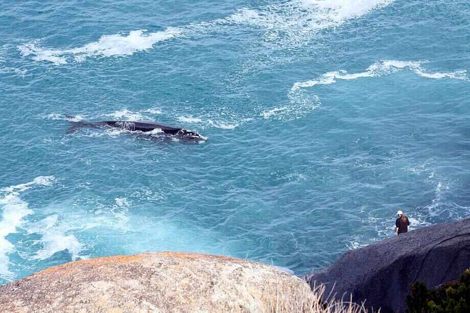 Ten of the best things to do in Victor Harbor