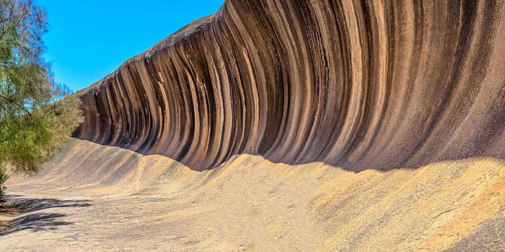 Wave Rock, York and Wildflowers Day Tour from Perth