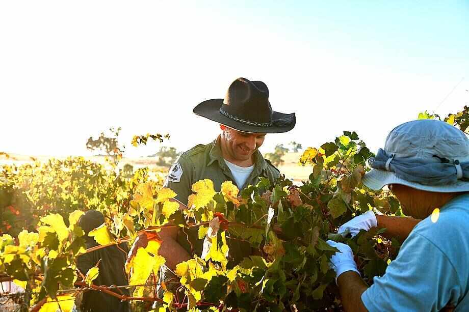A guide to Victoria's wine regions