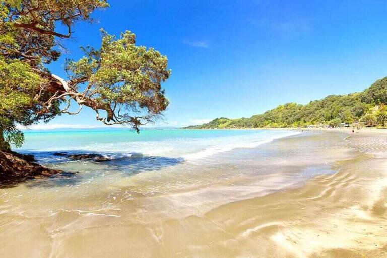 Six of the Best Beaches in the Bay of Plenty, NZ - Top Oz Tours