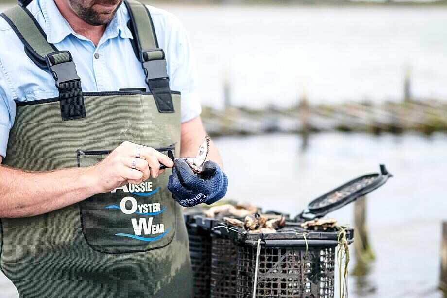 Tasmania's best gourmet experiences
