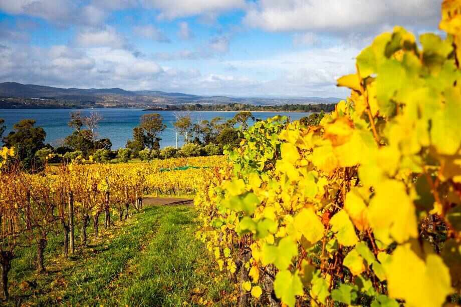 Tasmania's best gourmet experiences