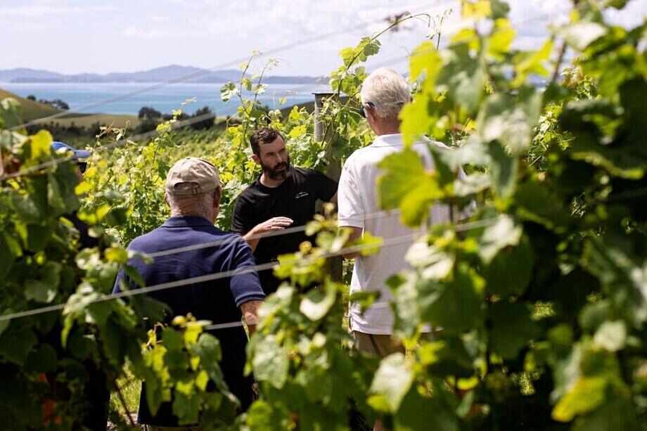 Ten of the best things to do in the Bay of Islands
