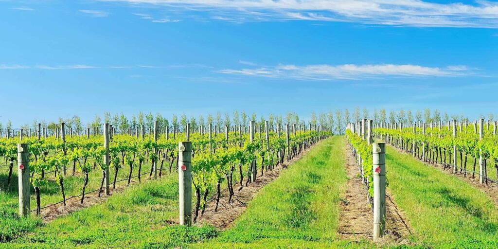 Margaret River tours