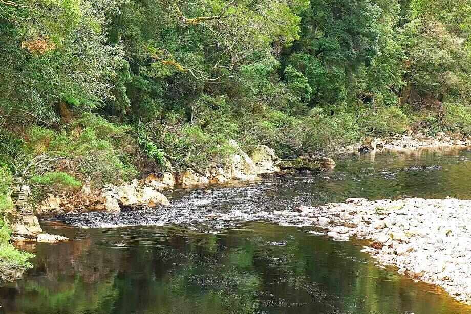 Tarkine Walking Tour, Tasmania