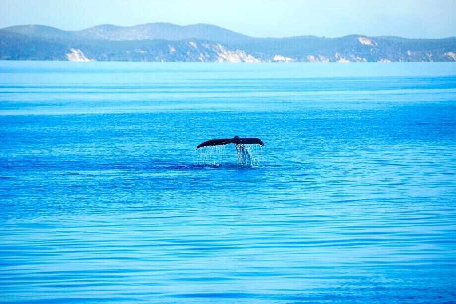 Ten amazing places around Australia to visit by boat