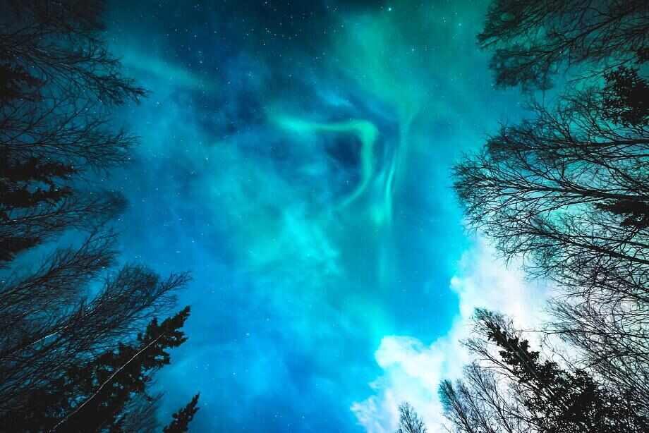 Eight great reasons to visit Alaska