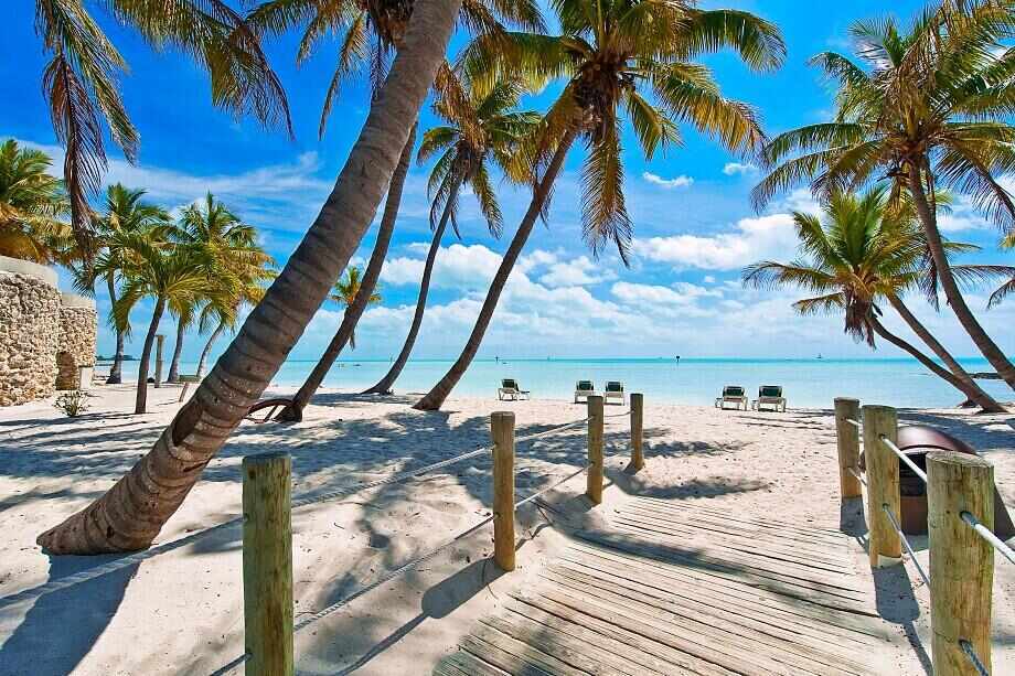 Eight great reasons to visit Florida