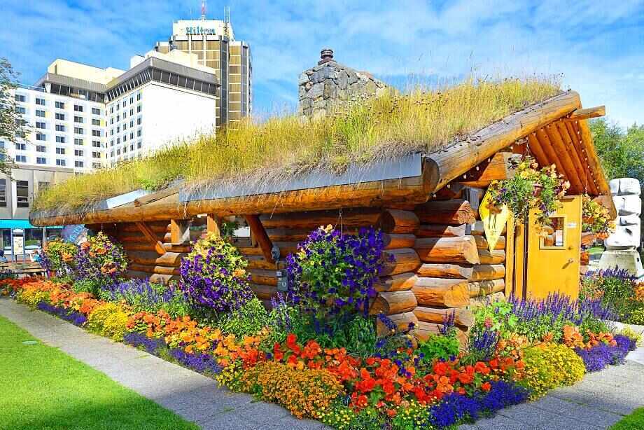 Eight great reasons to visit Alaska