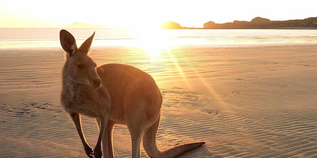 The ultimate east coast of Australia travel itinerary