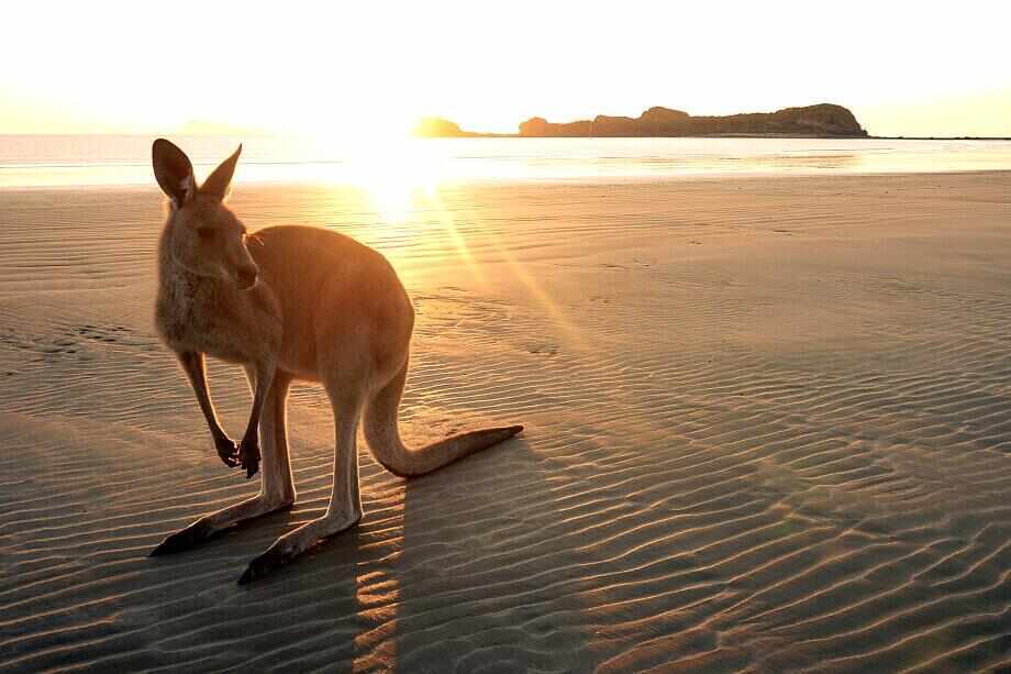 The ultimate east coast of Australia travel itinerary