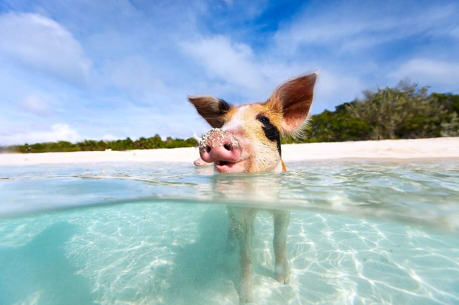 Ten top things to do in the Caribbean