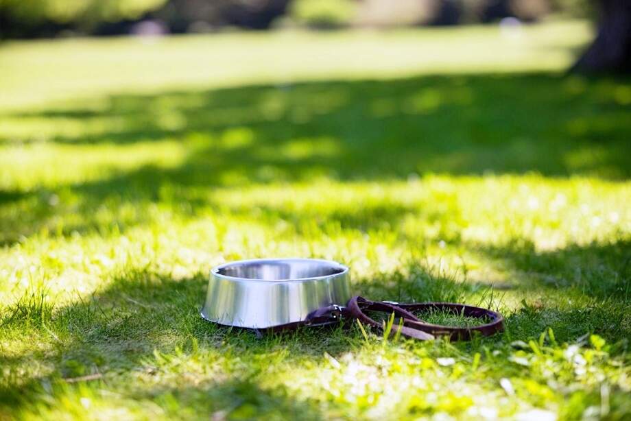 Ten important things to do at home before going on holiday
