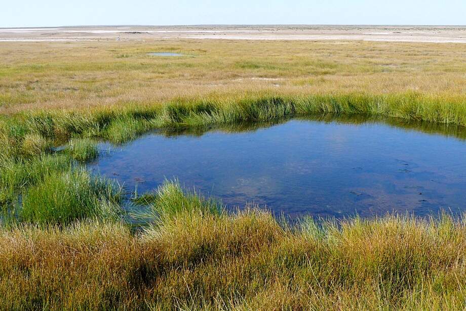 Top things to do on the Oodnadatta Track