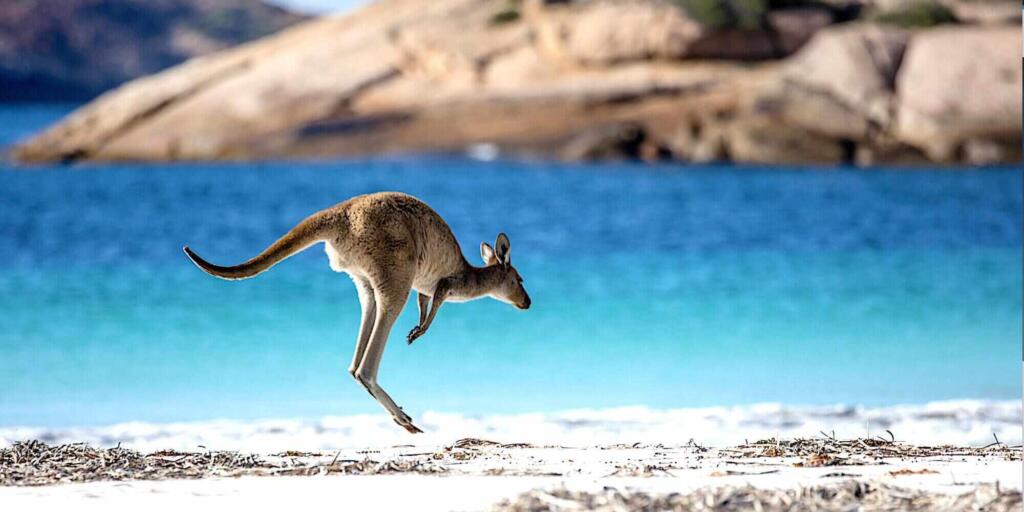 Ten of the best things to do in Esperance