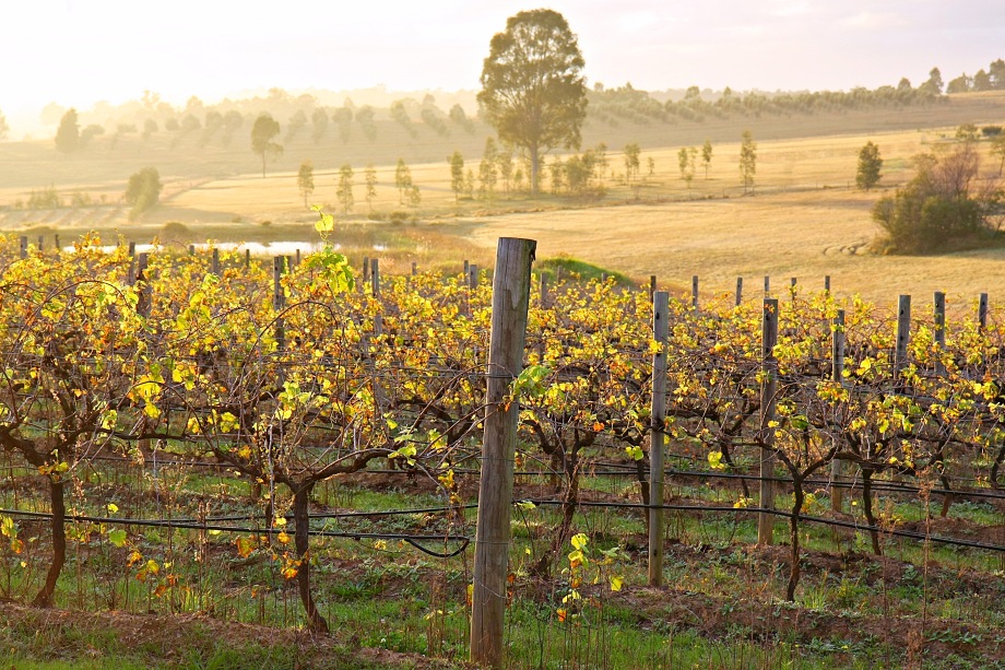 Ten amazing places to visit in New South Wales