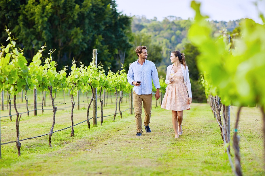 Top things to do in the Sunshine Coast Hinterland