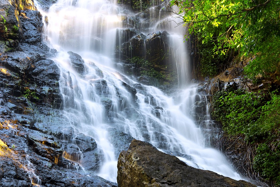 Top things to do in the Sunshine Coast Hinterland