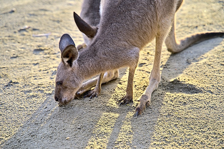 The best destinations for a winter escape in Queensland